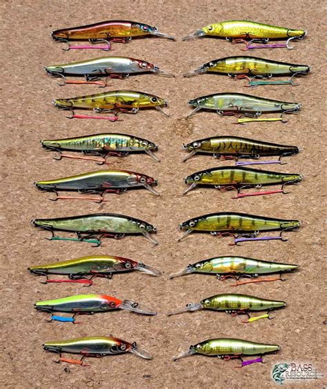 megabass forum|MegaBass Forum.